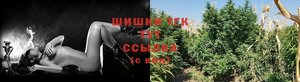 трава Абаза