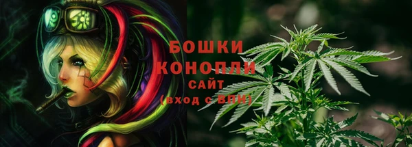 трава Абаза