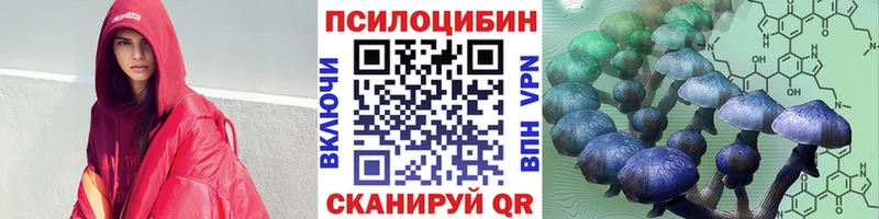 Галлюциногенные грибы прущие грибы  Трубчевск 
